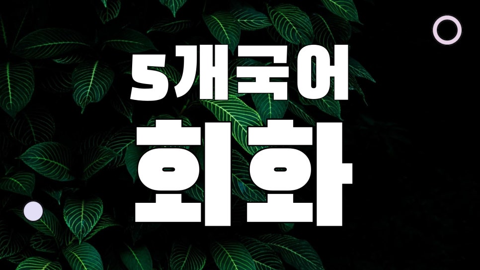 대학생 영어회화 하루30분 무의미한 이유