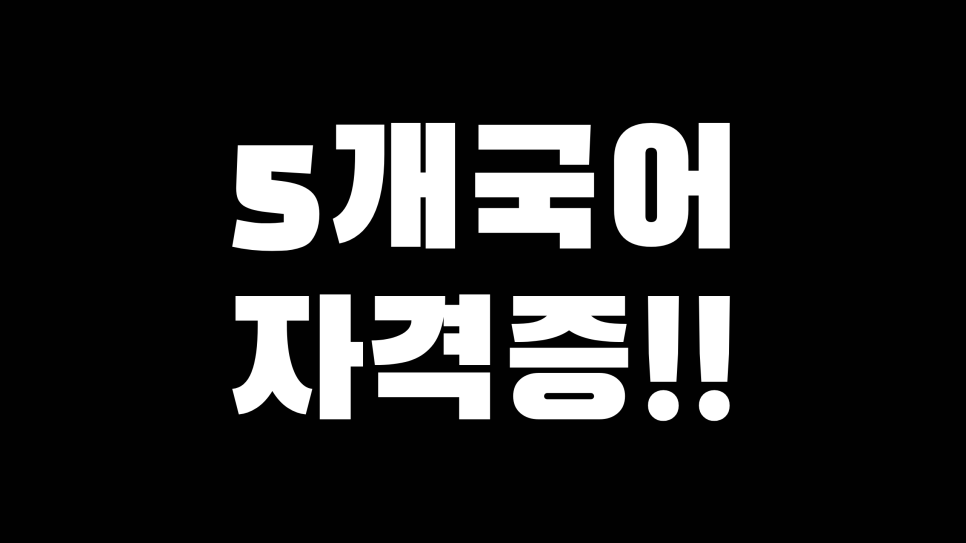 3개 국어 자격증 비밀