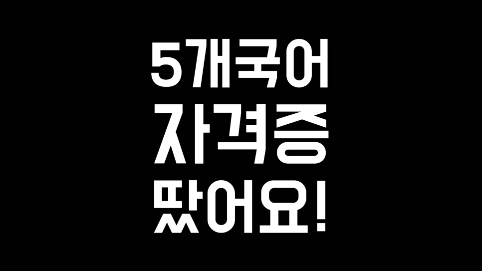 이중언어 능통자에서 5개 언어자격증 취득