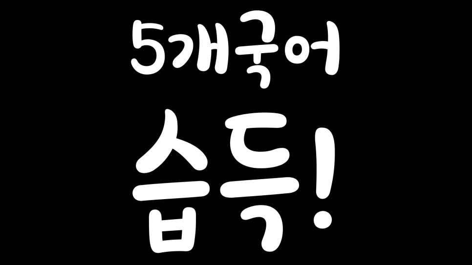 스페인어 습득 말하기 효율이 엄청났던 공부법