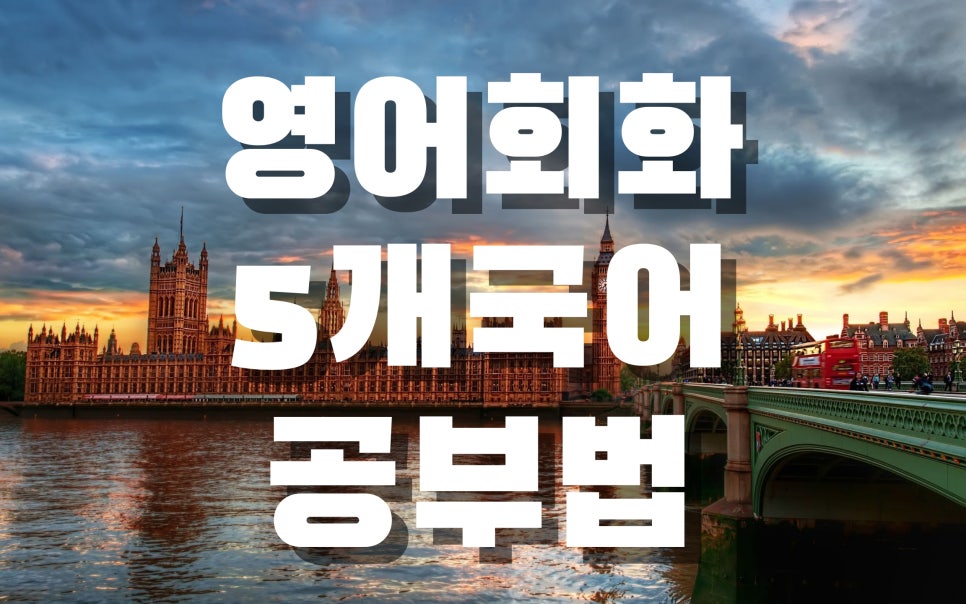 영어회화 독학 공부법 4개국어 하는법