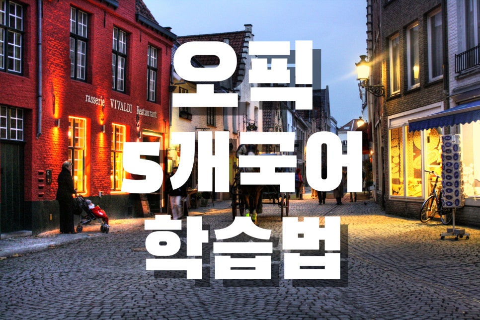 오픽 스크립트 없이 이렇게 한다고?