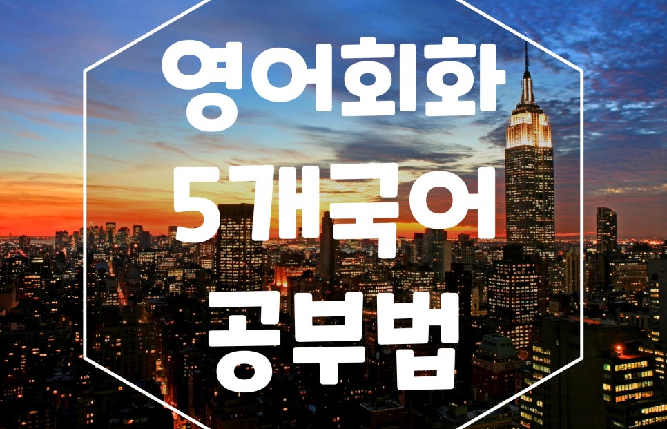 영어회화 독학 공부법 오픽 5개국어 하는 법