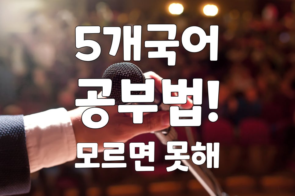 외국어 공부법 5개국어 차원이 다르게