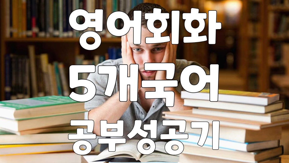 기초영어회화 can will 유형