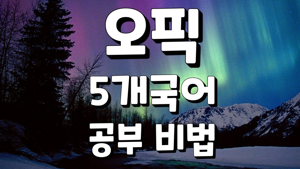 오픽 등급 IH 3개 국어 도가 트면