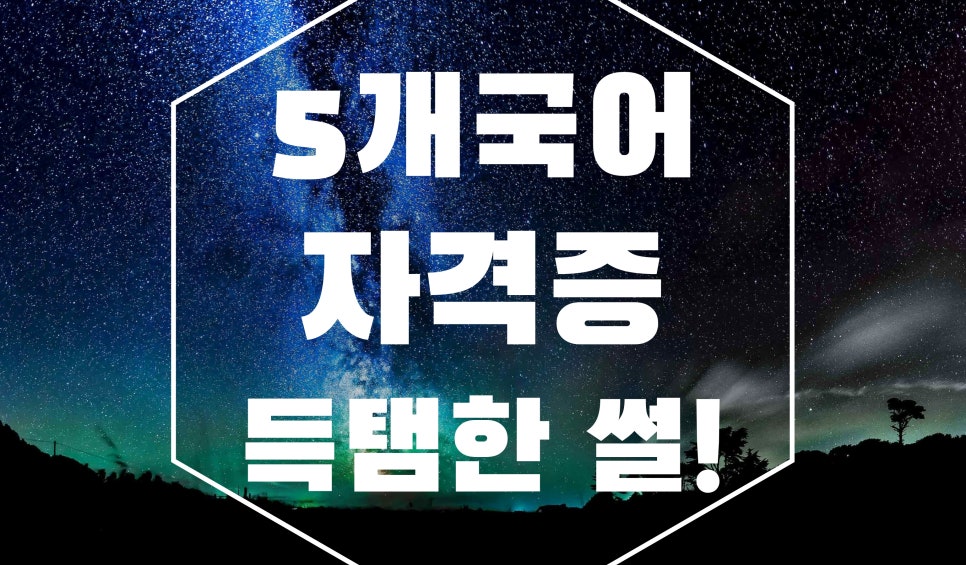 제2외국어 추천 자격증 중프영독러 다 따보니