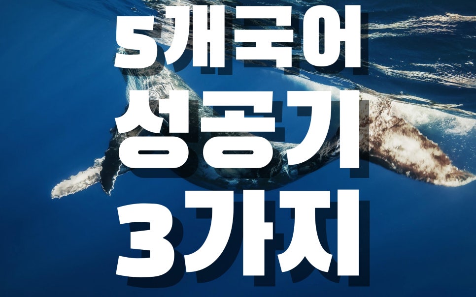 다개국어 N개국어학습법 집념과 철학이 없다면