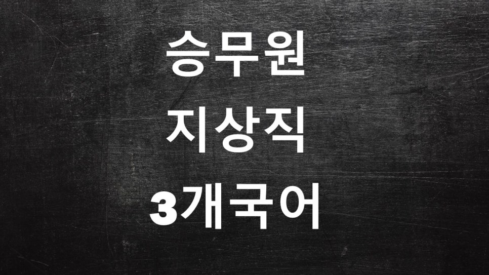 승무원 자격 가장 중요한 외국어